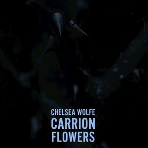 Carrion Flowers