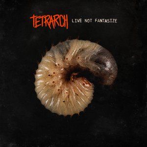 Live Not Fantasize - Single