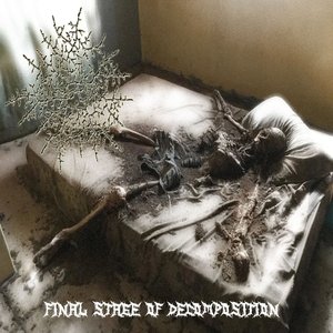 Final Stage Of Decomposition
