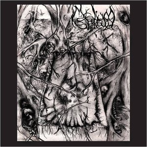 Mycelium Shroud