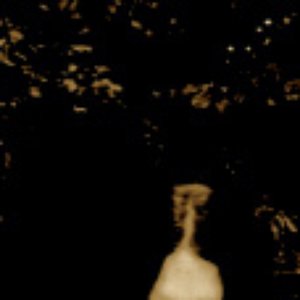 Morbid Path 的头像