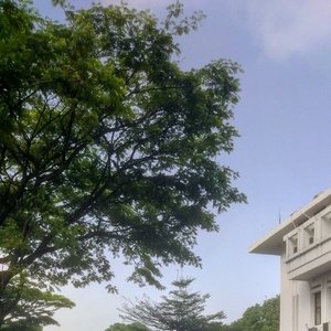 Seven Beautiful Angels