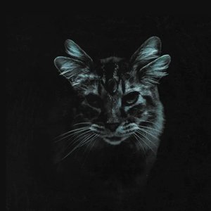 too scared to explain - EP