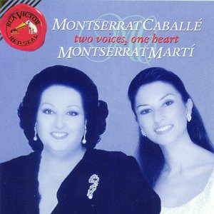 Two Voices One Heart-1993