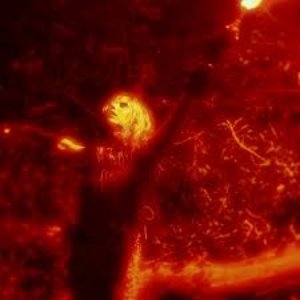 Lust Feels Like Bad Luck