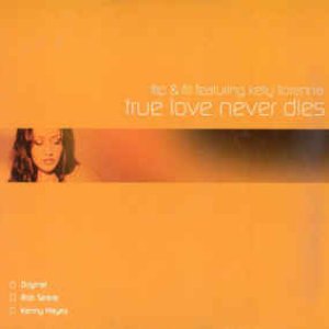 True Love Never Dies (Featuring Kelly Llorenna) - EP