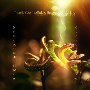 Thank You Ineffable Essence of All Life