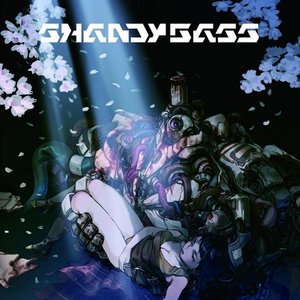 SHANDYBASS