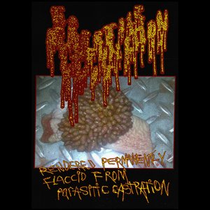 Rendered Permanently Flaccid From Parasitic Castration