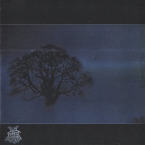 Forest Perversions