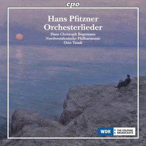 Image for 'Pfitzner: Orchestral Songs'