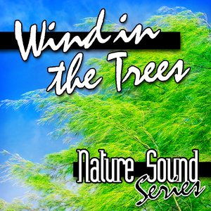 Wind in the Trees (Nature Sounds)