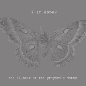 The Slumber Of The Grayscale Moths