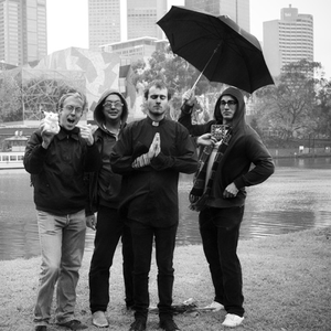 Macaca Mulatta photo provided by Last.fm