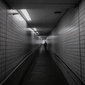 Man Flies - Single