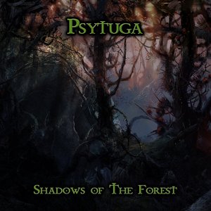 Shadows Of The Forest