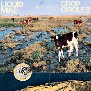 Crop Circles - Single