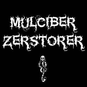 “Mulciber Zerstorer”的封面