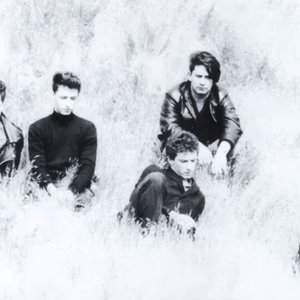 Views (ITA) 的头像