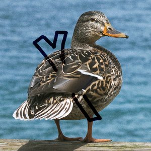 Avatar for Leek Duck