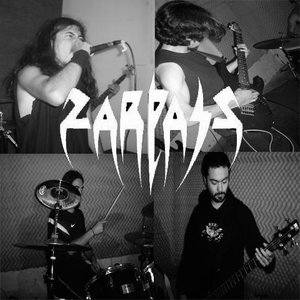 Zarpass 的头像
