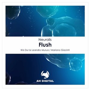 Flush