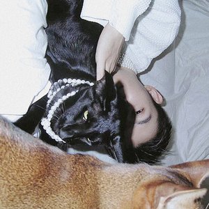 極致動物