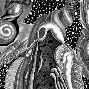 Dimensional Space [Limited LP Edition]