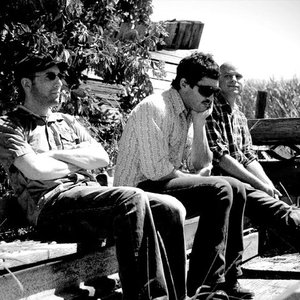 The Lazy Waves 的头像
