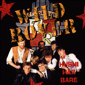 wild rover 的头像