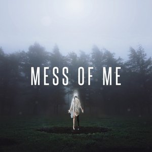 Mess of Me - Single