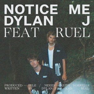 Notice Me (feat. Ruel) - Single