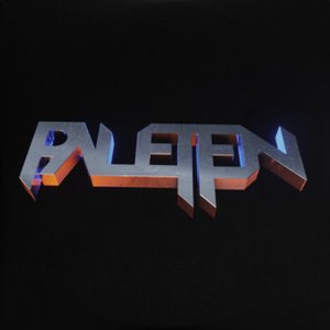“paletten”的封面