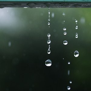 Fábrica de Calma 的头像