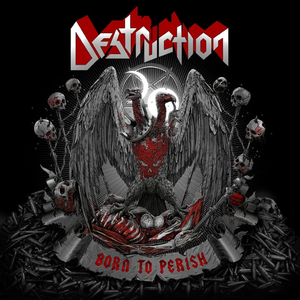Destruction - Born To Perish [explicit] - Zortam Music