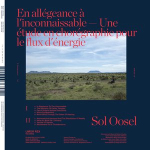 En allégeance à l'inconnaissable — Une étude en chorégraphie pour le flux d'énergie