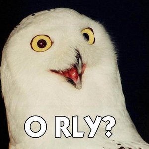Zdjęcia dla 'O RLY?'
