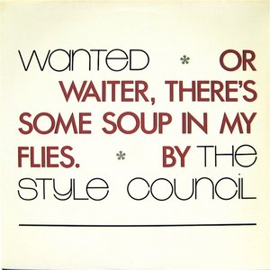Wanted Or Waiter, There's Some Soup In My Flies