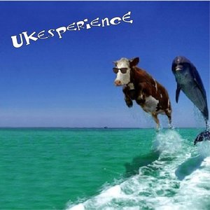 UKEsperience 的头像