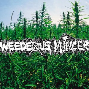 Avatar di Weedeous Mincer