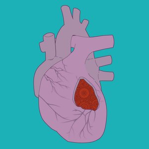 偽る綺麗、そして皮肉