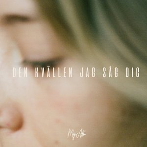 Den kvällen jag såg dig