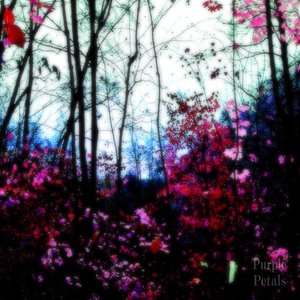 Purple Petals