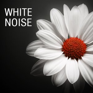 White Noise