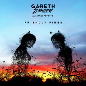 Friendly Fires (feat. Dani Poppitt) - Single