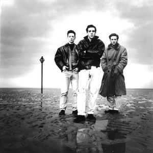 The Wild Swans photo provided by Last.fm