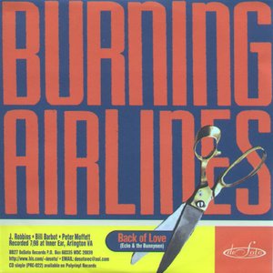 Braid/Burning Airlines