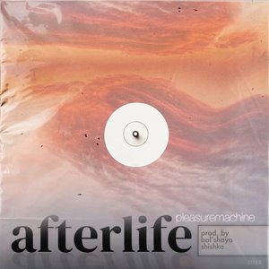 Afterlife