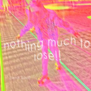 Nothing Much To Lose