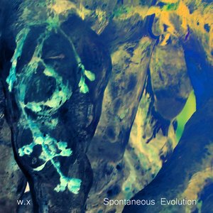 Spontaneous Evolution